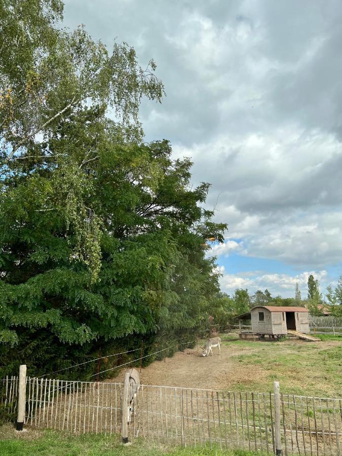 Lieblingsplatz Parey - Tiny House Διαμέρισμα Εξωτερικό φωτογραφία
